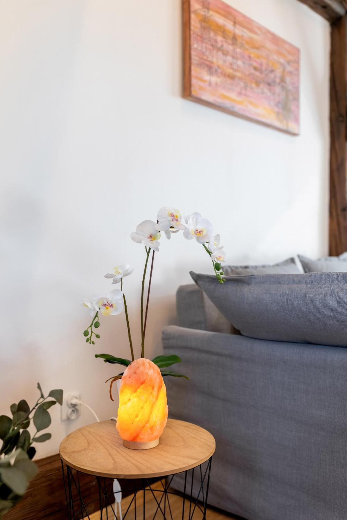 Apartment With Entresol Old Town Cracovia Esterno foto